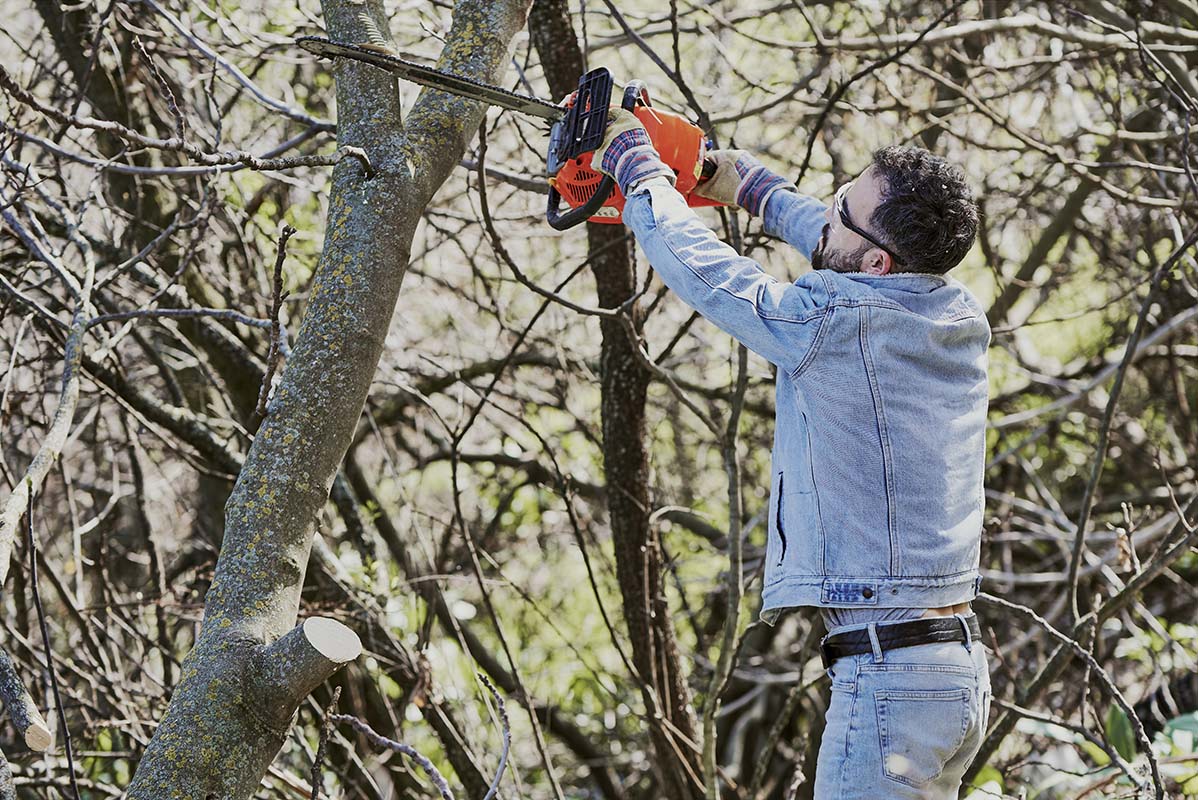 man felling a tree with an electric chainsaw